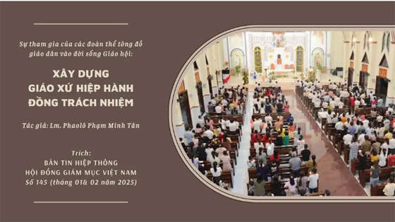 su-tham-gia-cua-cac-doan-the-tong-do-giao-dan-vao-doi-song-giao-hoi-xay-dung-giao-xu-hiep-hanh-dong-trach-nhiem