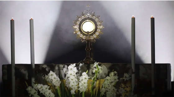 vatican-cong-nhan-phep-la-thanh-the-dau-tien-tai-an-do