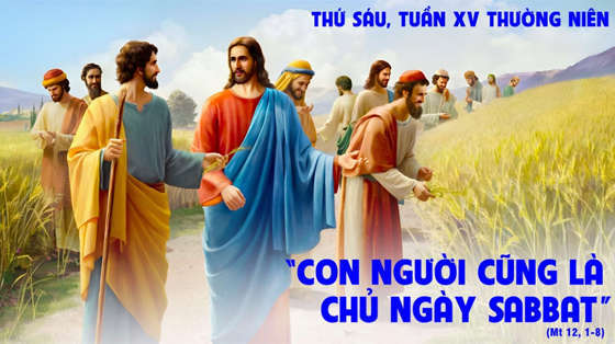 Mt 12, 1-8--thu-sau-tuan-15-thuong-nien-nam-c