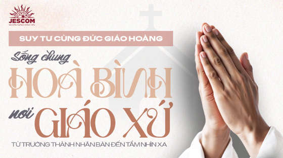 song-chung-hoa-binh-noi-giao-xu-tu-truong-thanh-nhan-ban-den-tam-nhin-xa