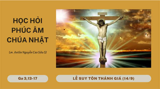 hoc-hoi-phuc-am-le-suy-ton-thanh-gia-149-ga-313-17