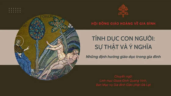 tai-lieu-su-that-va-y-nghia-ve-tinh-duc-con-nguoi-nhung-dinh-huong-de-giao-duc-trong-gia-dinh-cua-hoi-dong-giao-hoang-ve-gia-dinh