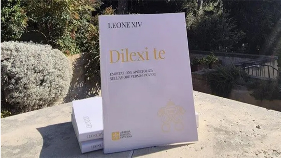 duc-hong-y-cupich-noi-ve--dilexi-te--phung-vu-lien-doi-voi-nguoi-ngheo